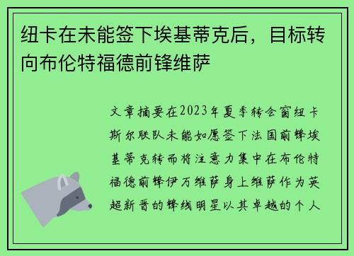 纽卡在未能签下埃基蒂克后,目标转向布伦特福德前锋维萨 纽卡在未能签下埃基蒂克后,目标转向布伦特福德前锋维萨